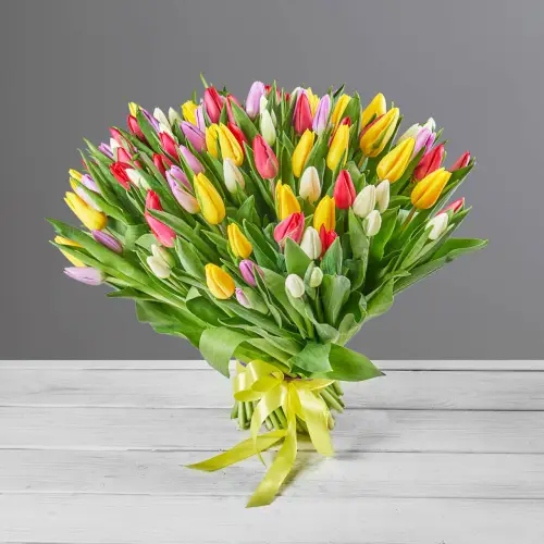 Букет из 101 ярко-цветного тюльпана