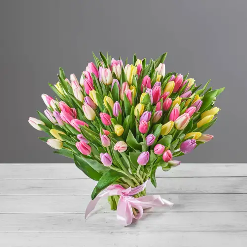 Букет из 101 нежно-цветного тюльпана