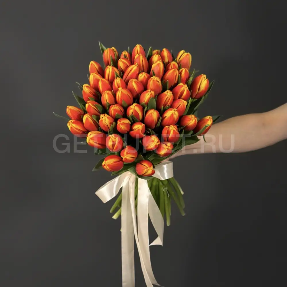 223652 Букет из 51 оранжевого тюльпана