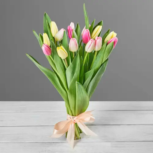 Букет из 15 нежно-цветных тюльпанов