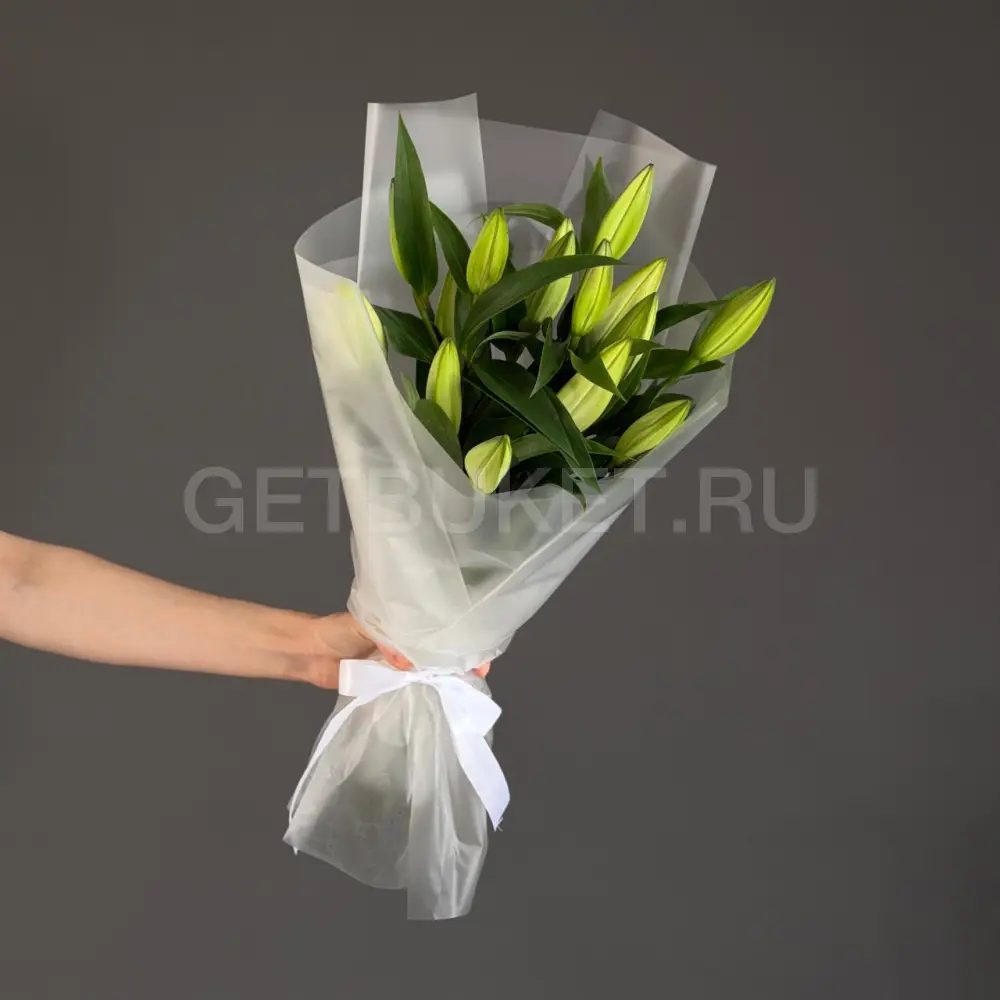 202970 Букет из 5 лилий в упаковке
