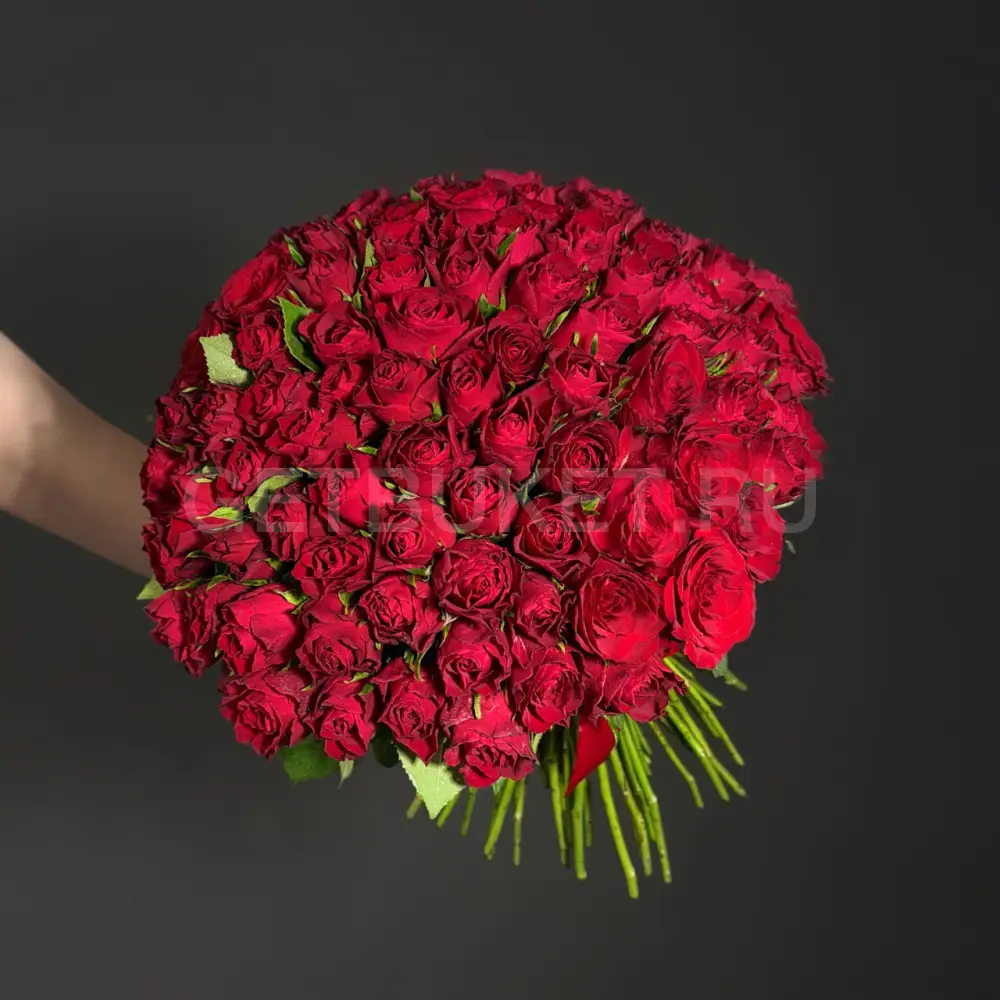66060 Букет из 101 красной кенийской розы