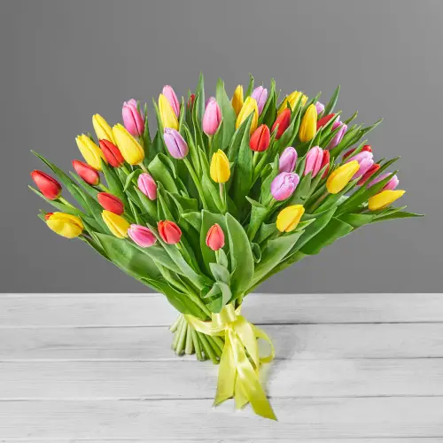 Букет из 51 ярко-цветного тюльпана